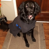 Entry image for Keeta