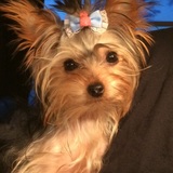 Entry image for Sophie