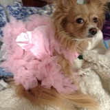 Entry image for Penny