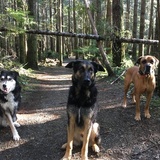 Entry image for Mac, Larry, & Herc