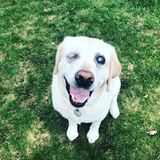 Entry image for Hannah