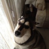 Entry image for Meeka