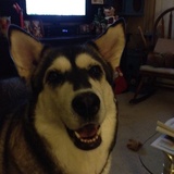 Entry image for Meeka