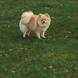 Entry image for Keisha