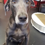 Entry image for The Professor