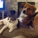 Entry image for Lexi and Shelby