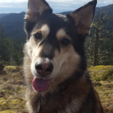 Entry image for Zeki