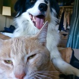 Entry image for Jimmy 