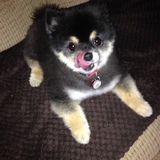 Entry image for Cinder