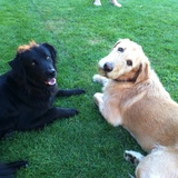 Entry image for Miller and Tedi