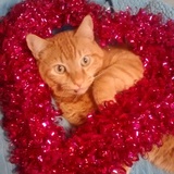 Entry image for Magnus Maximus