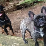 Entry image for Heidi and Mojo 