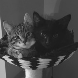 Entry image for Osuna & Beasley