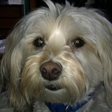 Entry image for Tucker 