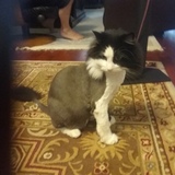 Entry image for Smudge