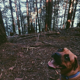 Entry image for Kaia