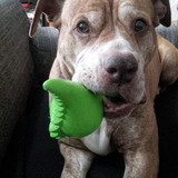 Entry image for Daisy