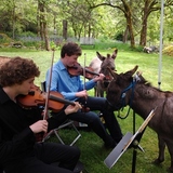 Entry image for SABRINA AND DUSTY