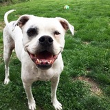 Entry image for Kona