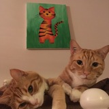 Entry image for Astro and Apollo