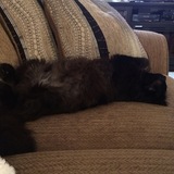 Entry image for Lewis