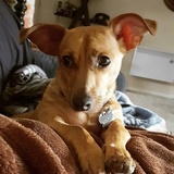 Entry image for Roland