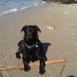 Entry image for Jenny 