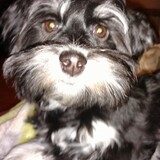 Entry image for Aura