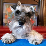 Entry image for Miss Abby