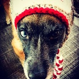 Entry image for Bebe