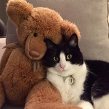 Entry image for Lacey Mae