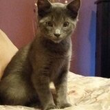 Entry image for Hobbes