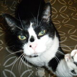 Entry image for Vinnie Marducci