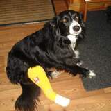 Entry image for Macy