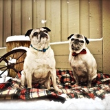 Entry image for Myrtle and Jack