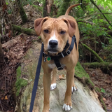 Entry image for Wilson