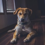 Entry image for Kiah