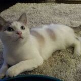 Entry image for Sophie