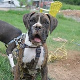 Entry image for Cash