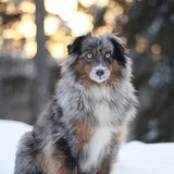 Entry image for Lyric