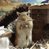 Entry image for William