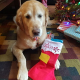 Entry image for Mylo