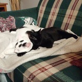 Entry image for Sheldon and Penny