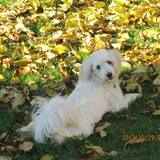 Entry image for Mocha