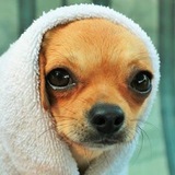 Entry image for Chunk