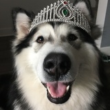 Entry image for Tundra 