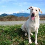 Entry image for Tritan