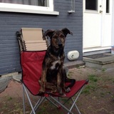 Entry image for Chevy