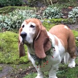 Entry image for Katie