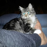 Entry image for Winky